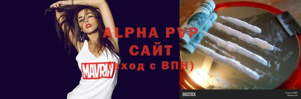 стаф Алексин