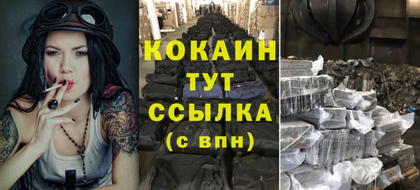 стаф Алексин
