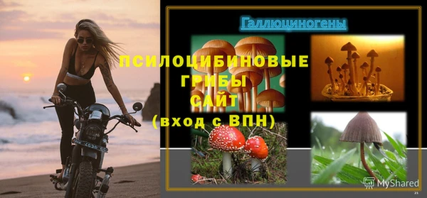 ГАЛЛЮЦИНОГЕННЫЕ ГРИБЫ Алзамай
