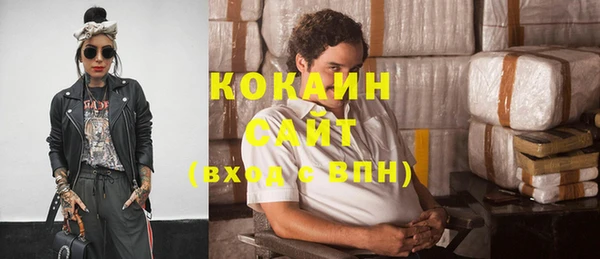 стаф Алексин