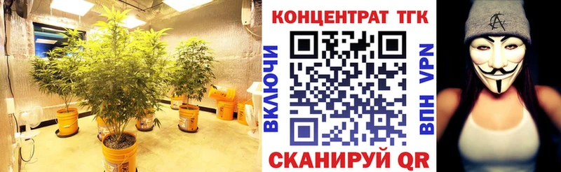 Дистиллят ТГК Wax  что такое наркотик  Николаевск 