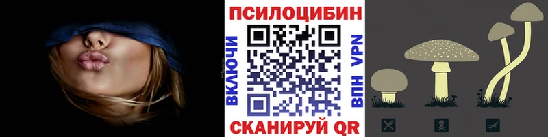 Галлюциногенные грибы GOLDEN TEACHER Николаевск